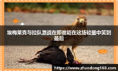 埃梅莱克与拉队激战在即谁能在这场较量中笑到最后